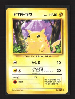 Pikachu representative card photo