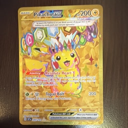 Pikachu ex representative card photo