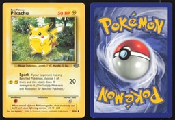 Pikachu representative card photo