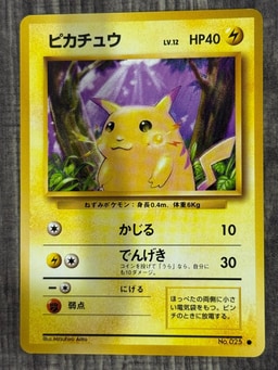 Pikachu representative card photo