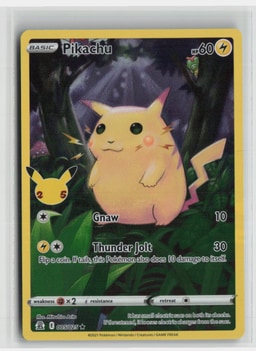 Pikachu representative card photo