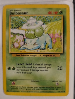 Bulbasaur representative card photo