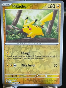Pikachu representative card photo