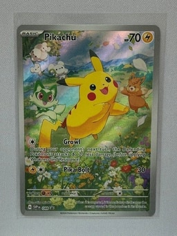 Pikachu representative card photo